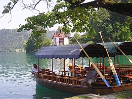 Una pletna sul lago di Bled
