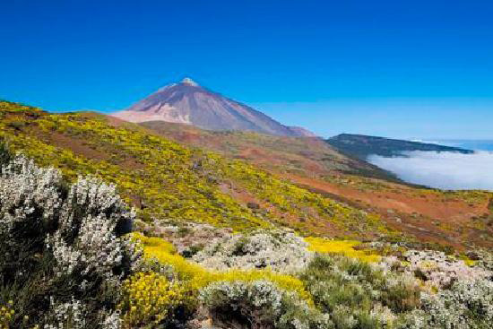 Landscape Tenerife Landscape Tenerife