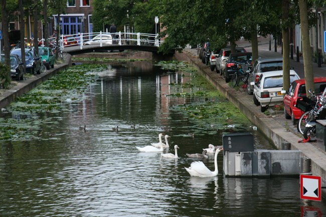 Olanda: canali Olanda: canali