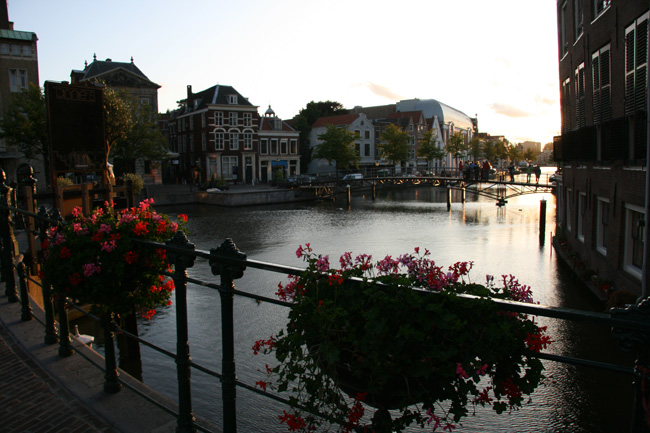 Paesi Bassi tra mulini, tulipani e non solo