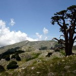 Parco Nazionale del Pollino