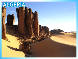 Apertura prenotazioni linea Italia-Algeria