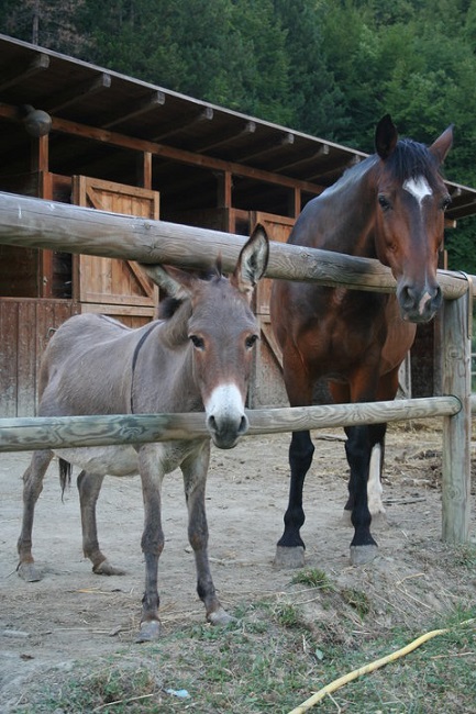 Nuova area di sosta Ca’ Budrio (RA)