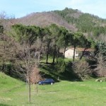 Ristorante di Franco