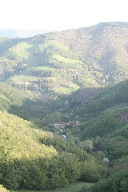 Valle del Senio