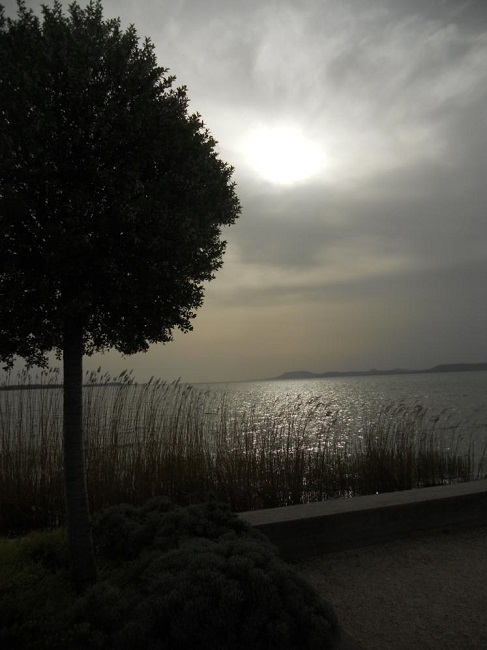 Rive del lago Balaton