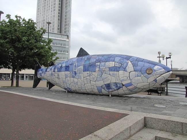 Belfast, Big Fish