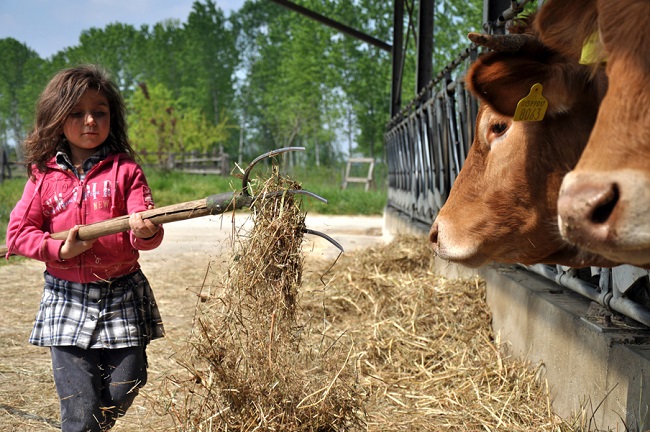 Fattorie Didattiche aperte Fattorie Didattiche aperte