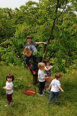 Fattorie Didattiche Fattorie Didattiche