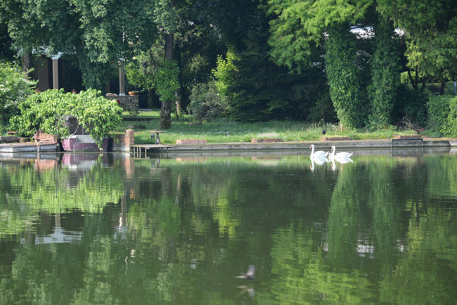 Mantova - vista Lago