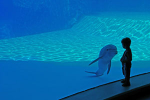 > Oltremare: gli eventi del week end