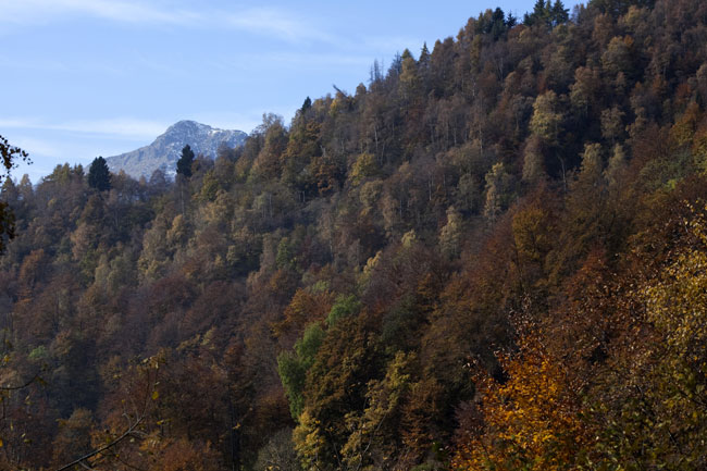 I colori dell’Autunno all’Oasi Zegna