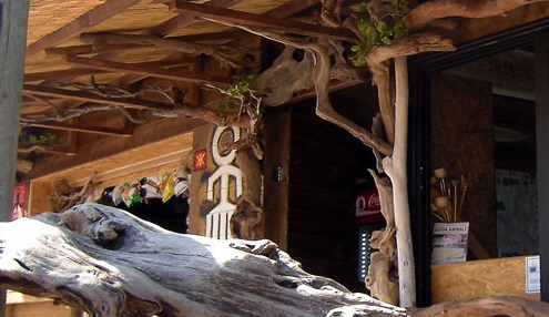 video-safari-camping