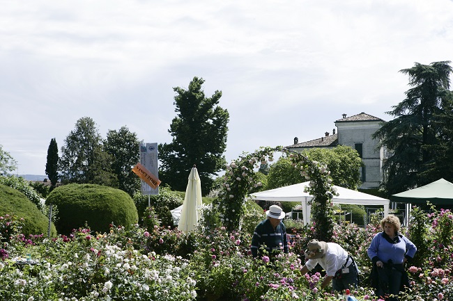 franciacorta-in-fiore-2014.2