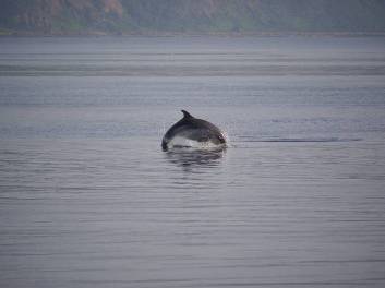 Gran Bretagna in generale, Scozia in particolare