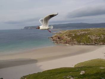 Gran Bretagna in generale, Scozia in particolare