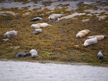 Gran Bretagna in generale, Scozia in particolare