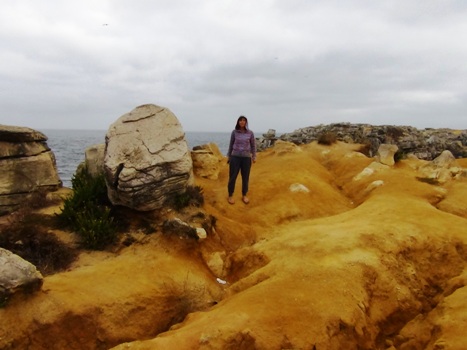 5 camper in tour attraverso Francia, Spagna e Portogallo