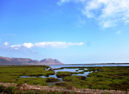 5 camper in tour attraverso Francia, Spagna e Portogallo