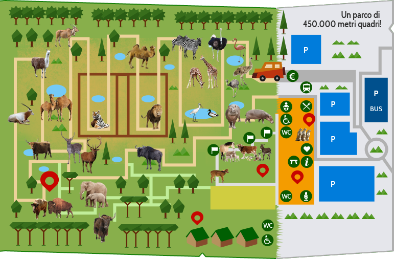 Video Safari Ravenna 2013