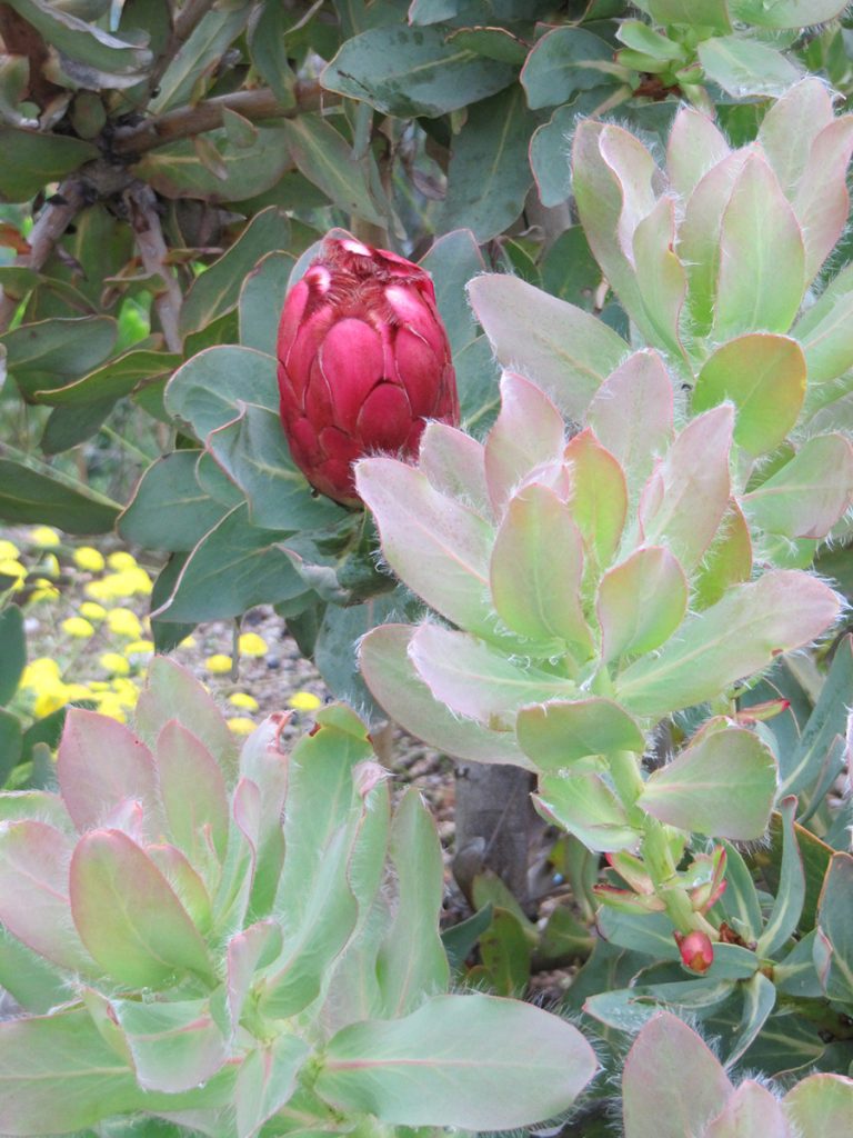 Canton Ticino: Dolce Vita sul lago