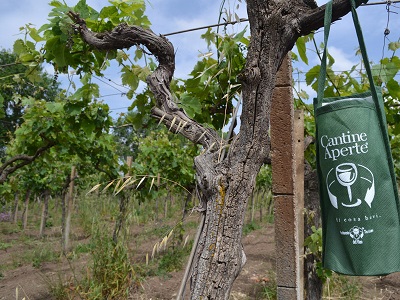 CANTINE APERTE, MOVIMENTO TURISMO VINO: al via l’edizione n..23 sabato 30 e domenica 31 maggio