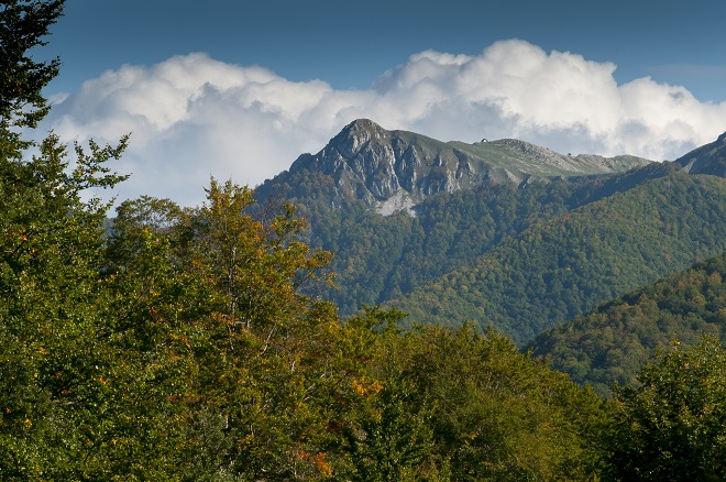 selleri-TreConfini06_ValentinoMastrella