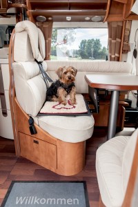 al-ko_isofix-camper-cani