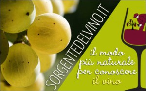 banner-sorgentedelvino-it