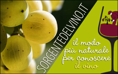 Alla scoperta di Piacenza in occasione di Sorgentedelvino LIVE