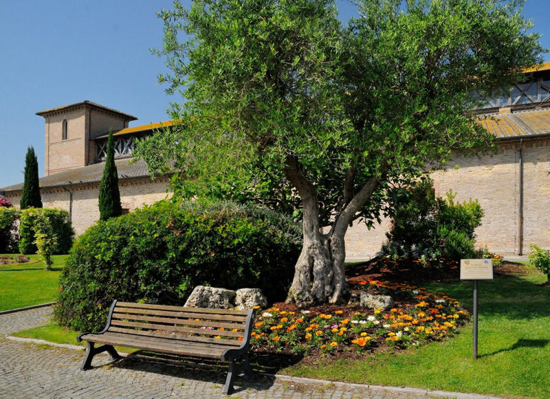 L’Europa fiorisce a Cervia