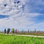 Istria idea ponte 2 giugno umago