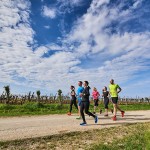 Istria idea ponte 2 giugno umago