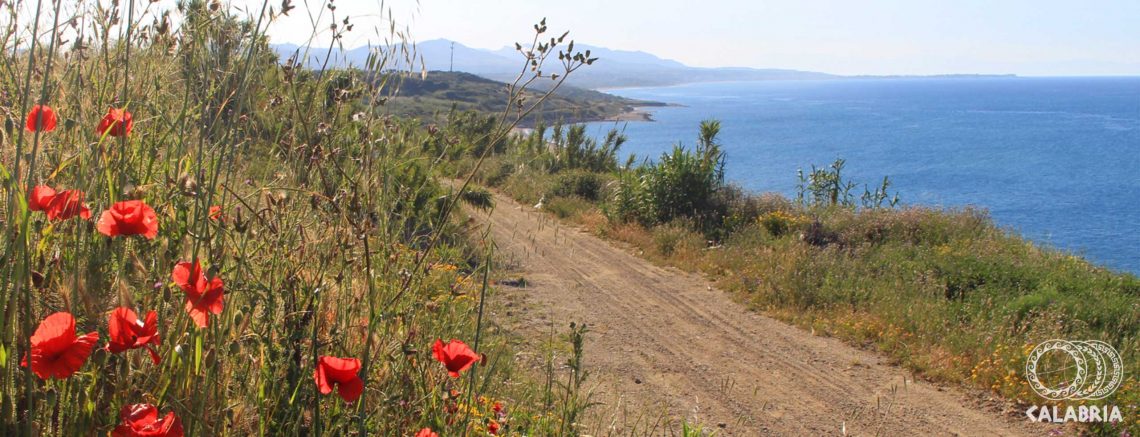 Fantastica Vacanza con l’Associazione Calabria Camper Club Sila