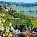 Germania strada delle fortezze