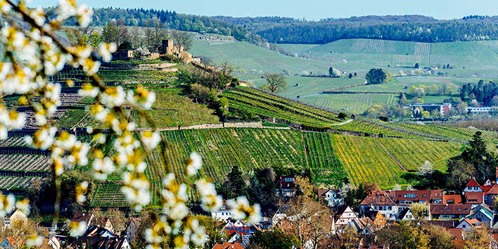 Germania strada delle fortezze