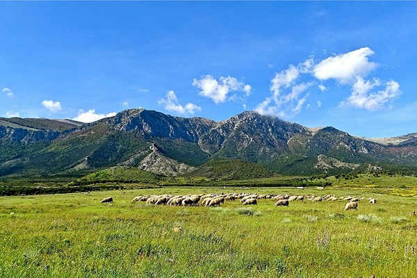 Ferragosto: oltre un milione e mezzo di camperisti sulle strade