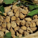 Divin Castagne dal 20 al 23 ottobre