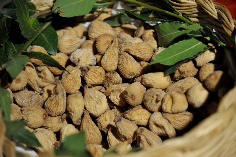 Divin Castagne dal 20 al 23 ottobre