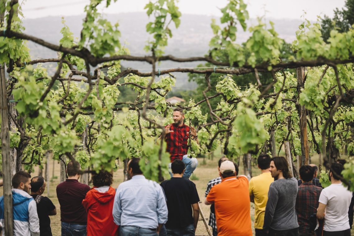Nona edizione dei Corsi della scuola Italiana di posatura della vite