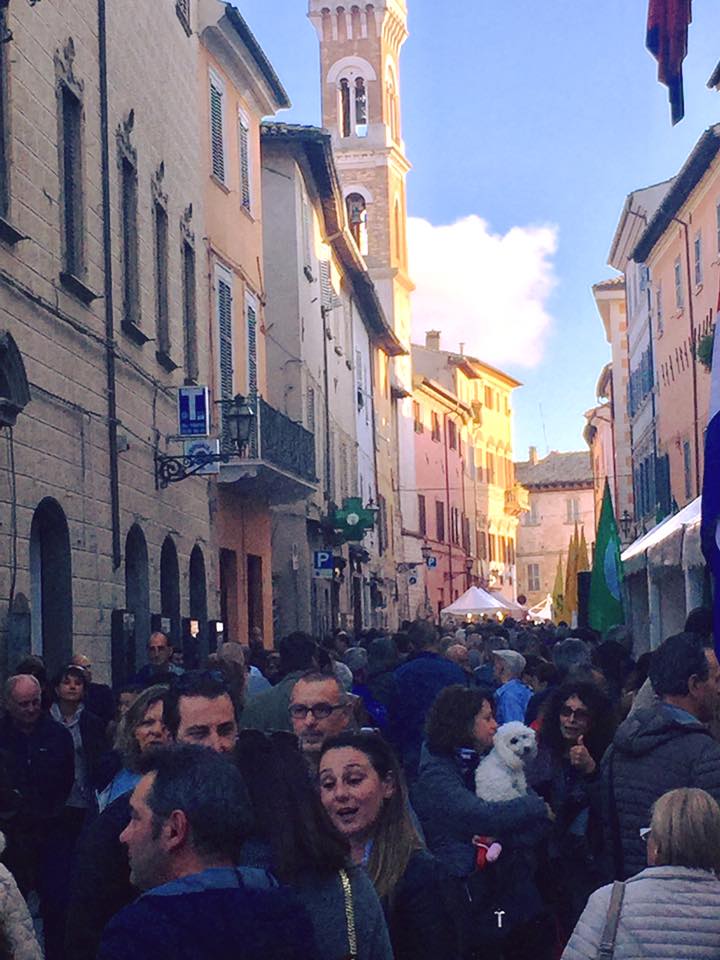 Raduno Camper alla Fiera Nazionale del tartufo bianco di Pergola – 6/7 ottobre