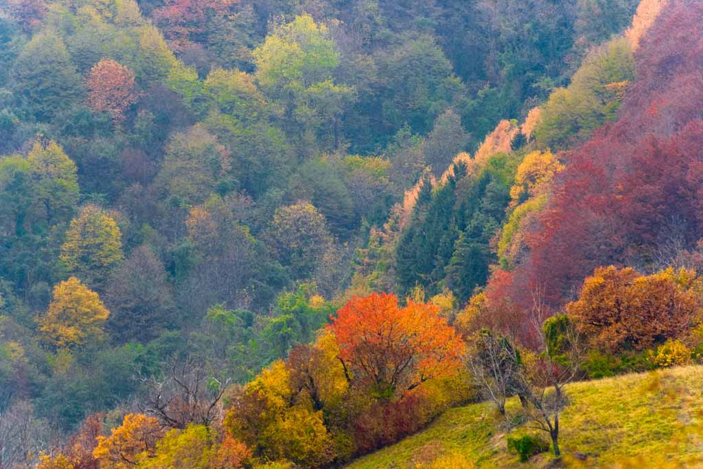 Foliage tra le Dolomiti bellunesi