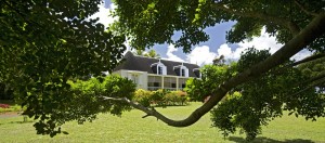 MTPA_043 - Maison Eureka