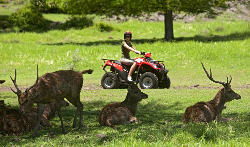 Mauritius: Alla scoperta dei Domaine Coloniali