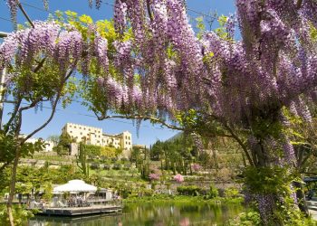 Trauttmansdorff_-_Panorama_Primavera