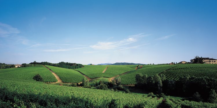 Vinitaly: 64 cantine storiche a Vinitaly 2018