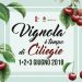 A Vignola (Mo) torna il tempo delle ciliegie