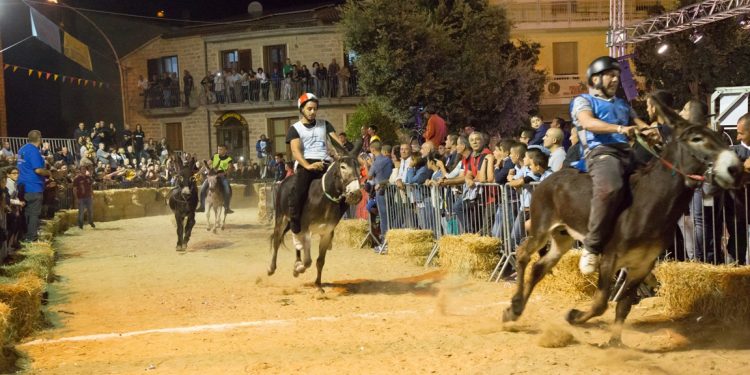 palio degli asinelli