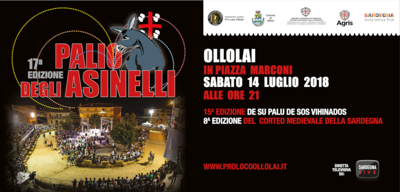palio degli asinelli