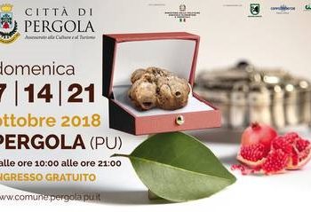 Fiera Nazionale del Tartufo bianco pregiato di Pergola